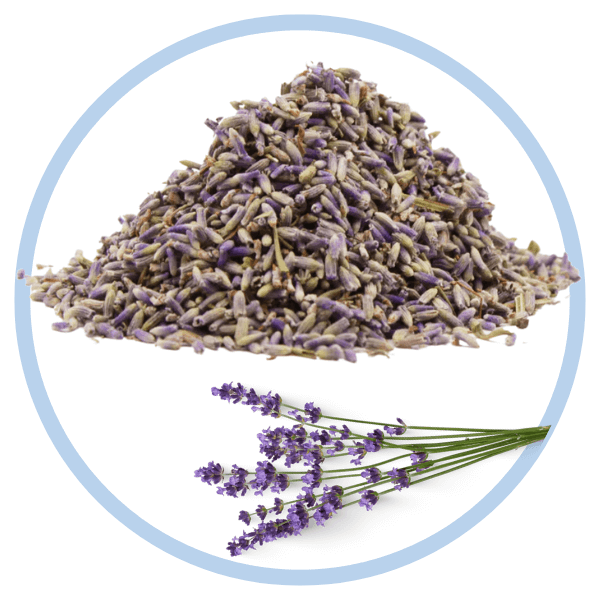 Tisana lavanda