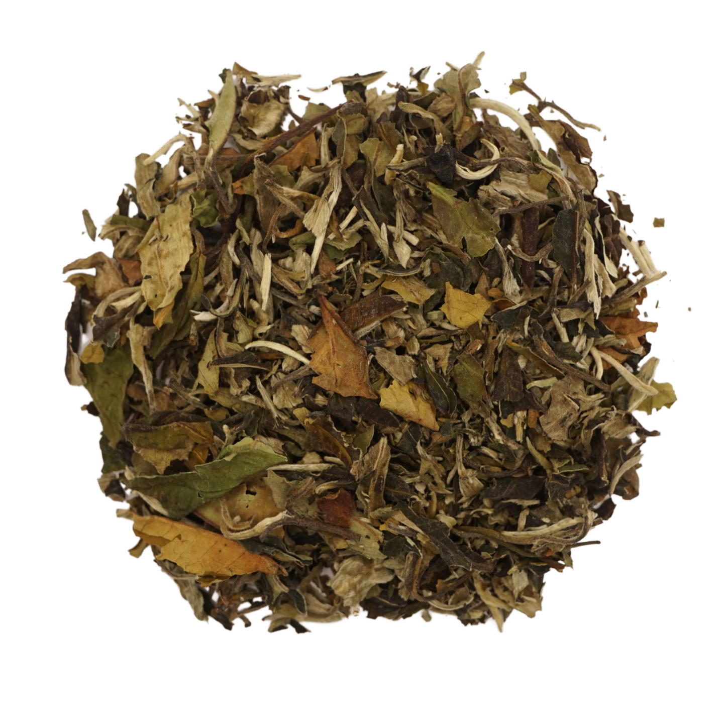 Té Pai Mu Tan