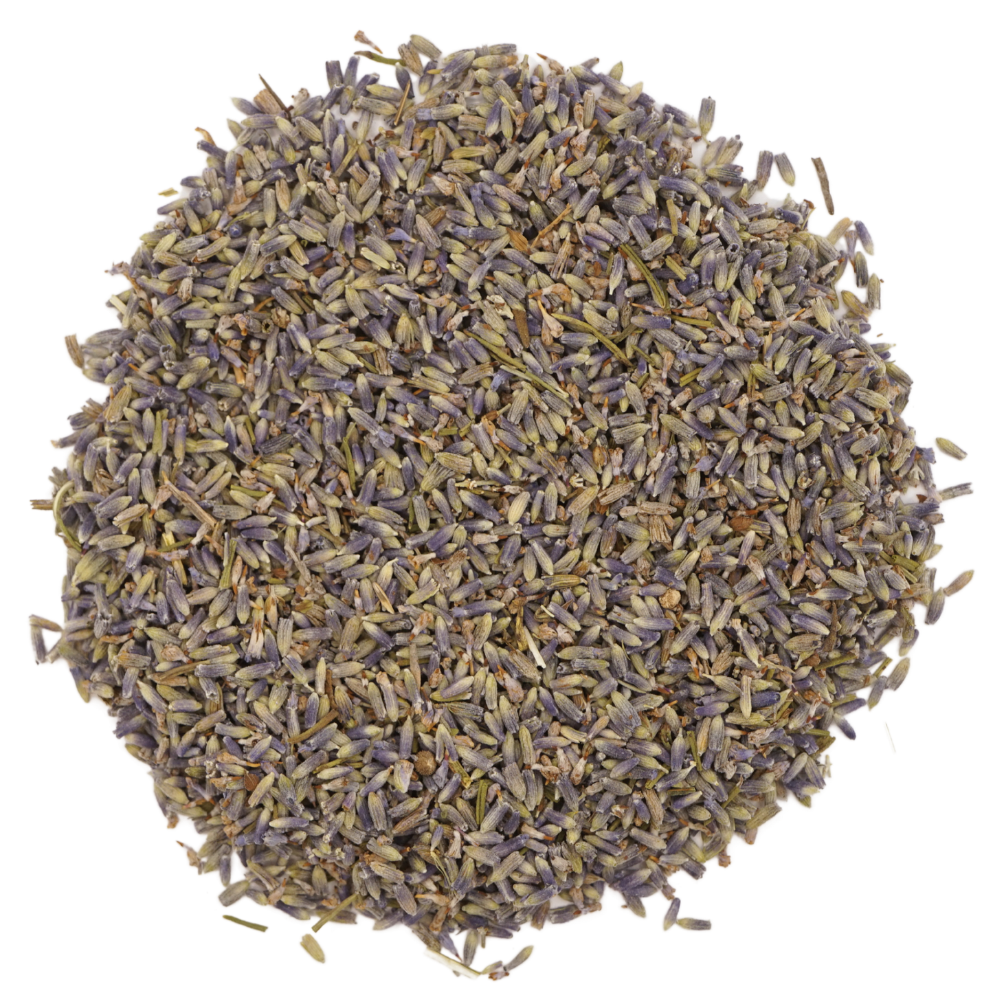 Lavanda