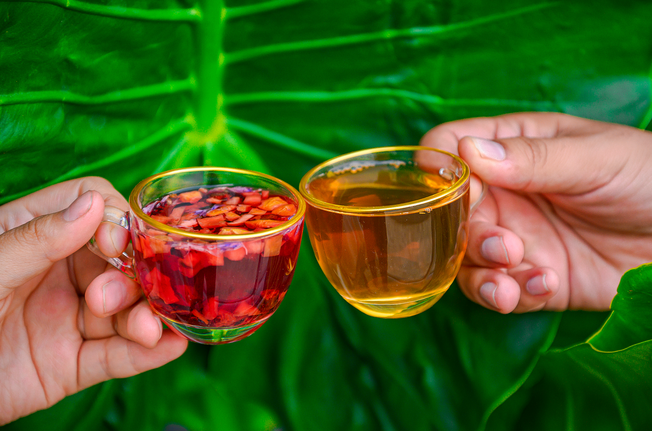 Descubre los Beneficios del Té Verde Sencha