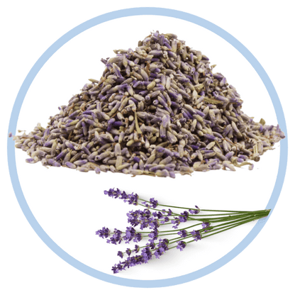 Tisana lavanda