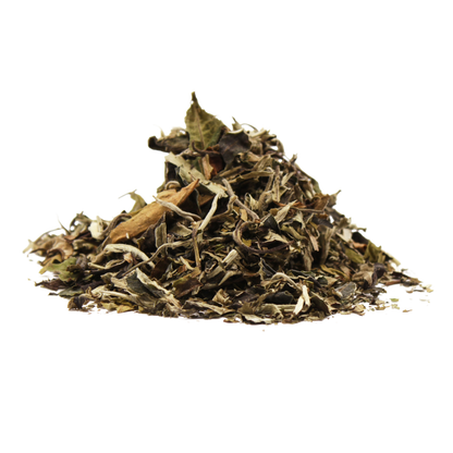 Té Pai Mu Tan